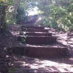 step_up_with_confidence
