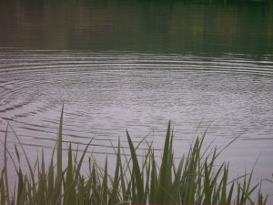 ripples_in_water